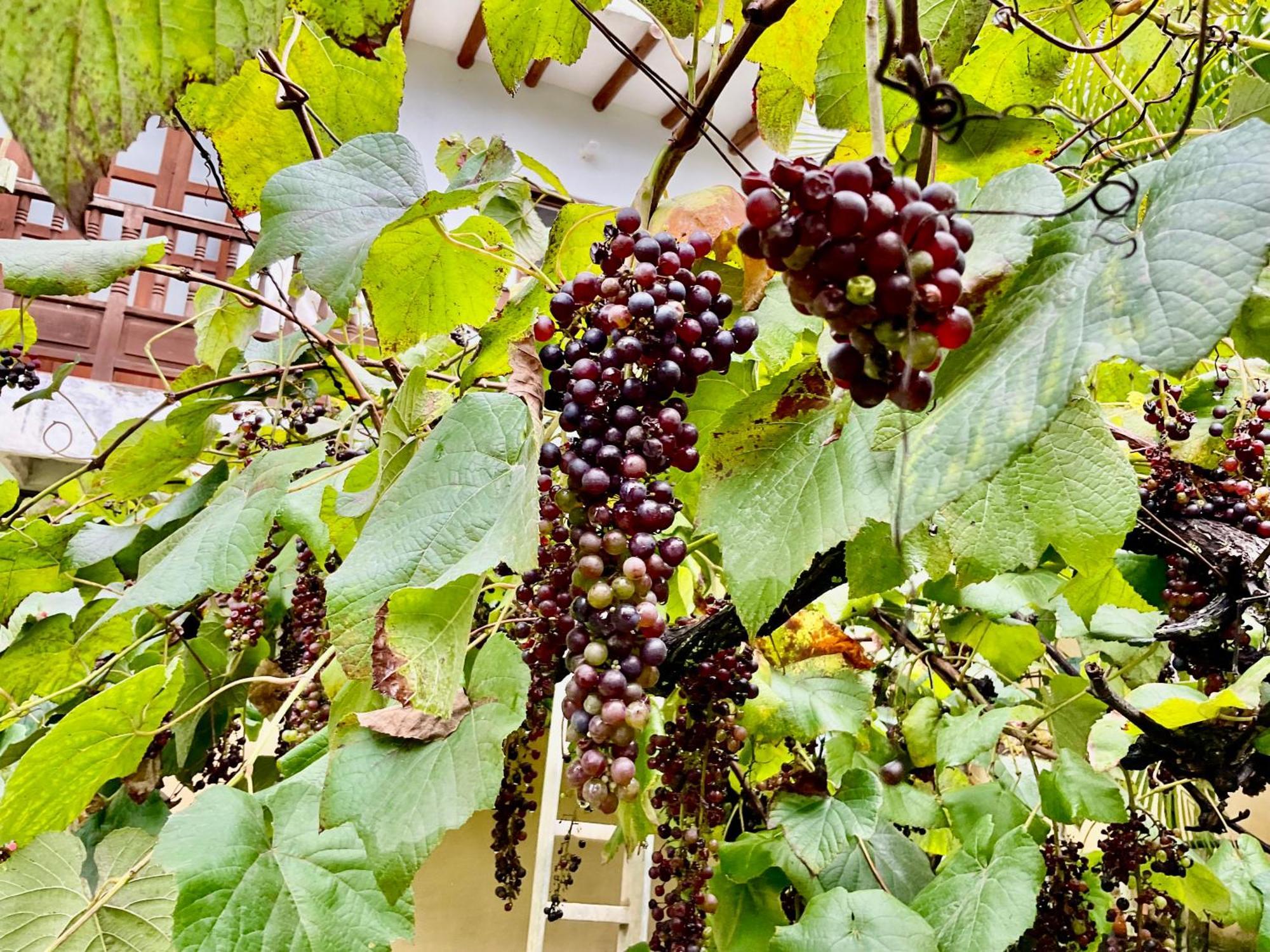 Casona El Retiro Barichara 아파트 외부 사진